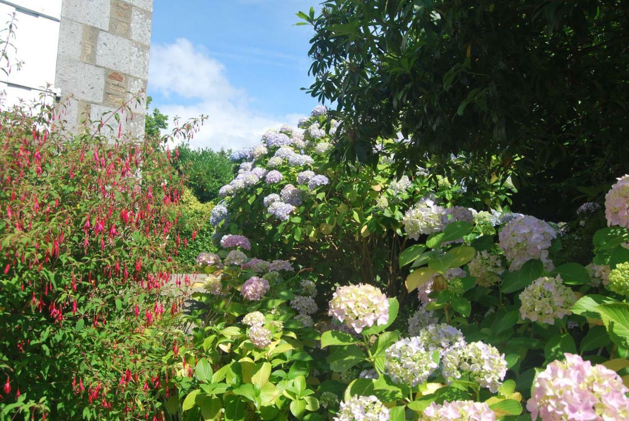 B&B Le Mesnil Saint-Senier-sous-Avranches Exterior foto
